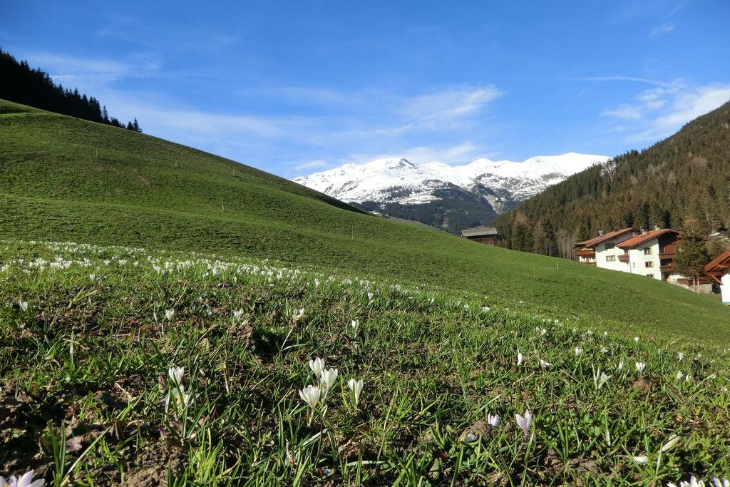 Appartement Alps Tux Extérieur photo